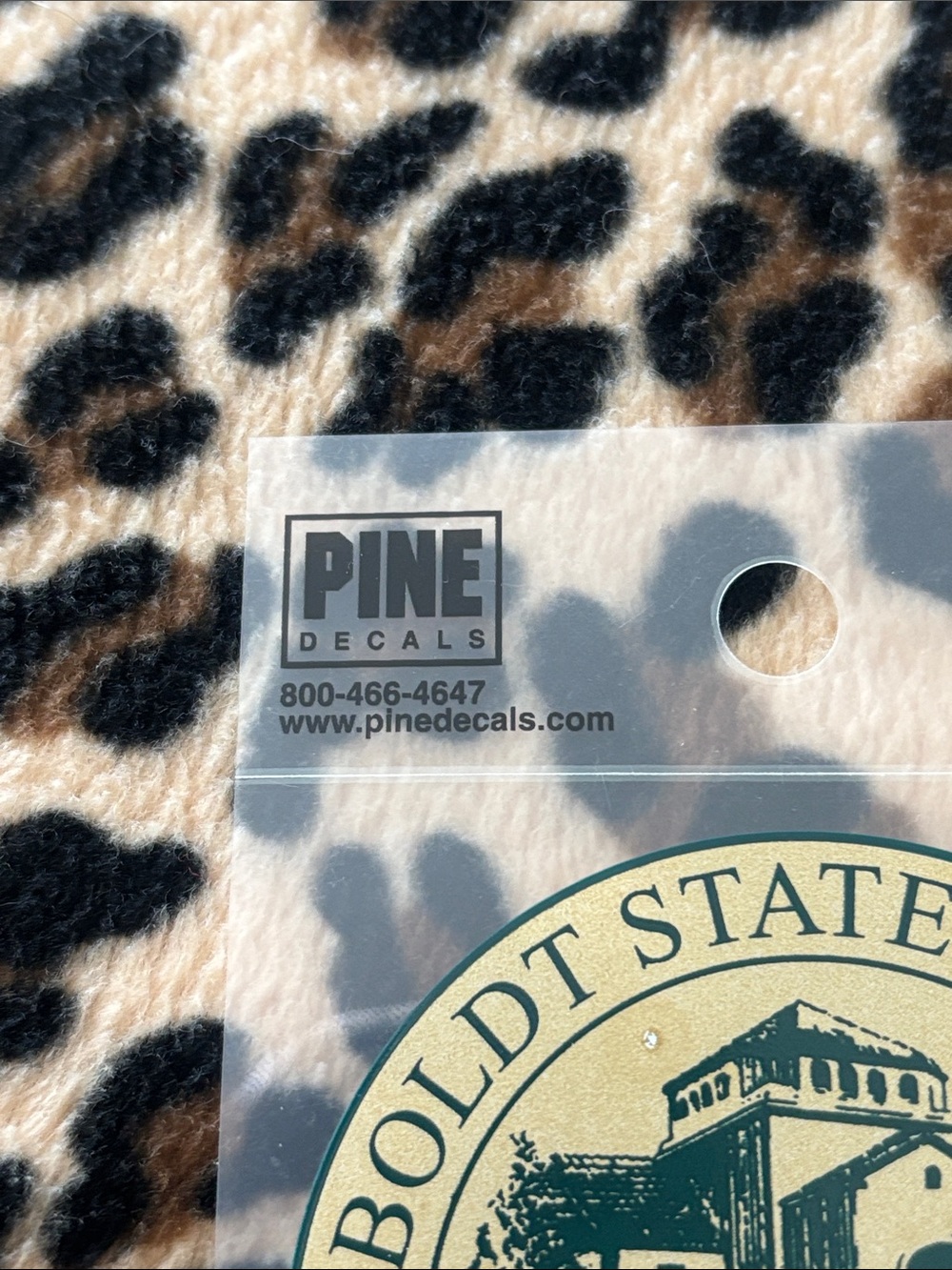 HUMBOLDT STATE UNIVERSITY 🌲 Alumni Gold Sticker Decal College California NorCal - Picture 8 of 9